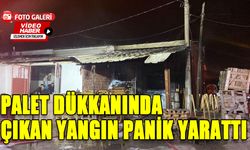 PALET DÜKKANINDA ÇIKAN YANGIN PANİK YARATTI