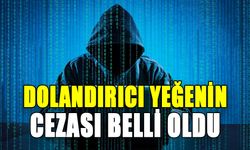 DOLANDIRICI YEĞENİN CEZASI BELLİ OLDU