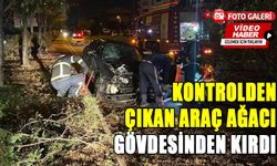 KONTROLDEN ÇIKAN ARAÇ AĞACI GÖVDESİNDEN KIRDI