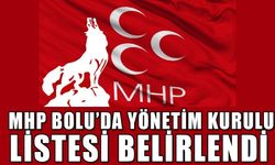 MHP BOLU’DA YÖNETİM KURULU LİSTESİ BELİRLENDİ   