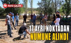 17 AYRI NOKTADAN NUMUNE ALINDI   