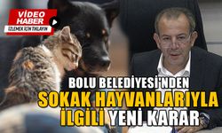 BOLU BELEDİYESİ'NDEN SOKAK HAYVANLARIYLA İLGİLİ YENİ KARAR