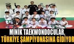 MİNİK TAEKWONDOCULAR, TÜRKİYE ŞAMPİYONASINA GİDİYOR