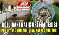 BOLU'DAKİ BALIK ÜRETİM TESİSİ POPÜLASYONUN ARTIŞINA KATKI SAĞLIYOR   