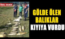 GÖLDE ÖLEN BALIKLAR KIYIYA VURDU