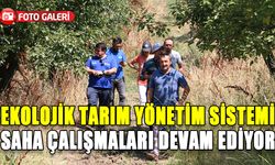 EKOLOJİK TARIM YÖNETİM SİSTEMİ SAHA ÇALIŞMALARI DEVAM EDİYOR