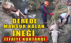 DEREDE MAHSUR KALAN İNEĞİ İTFAİYE KURTARDI   