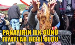 PANAYIRIN İLK GÜNÜ FİYATLAR BELLİ OLDU