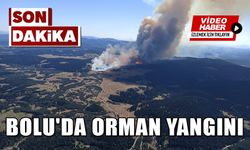 BOLU'DA ORMAN YANGINI