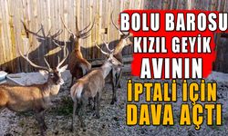 BOLU BAROSU, KIZIL GEYİK AVININ İPTALİ İÇİN DAVA AÇTI