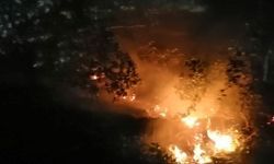Karabük'te orman yangını: 5 dönüm alan zarar gördü