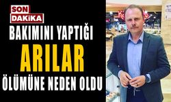 BAKIMINI YAPTIĞI ARILAR ÖLÜMÜNE NEDEN OLDU