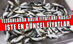 TEZGAHLARDA BALIK FİYATLARI NASIL? İŞTE EN GÜNCEL FİYATLAR