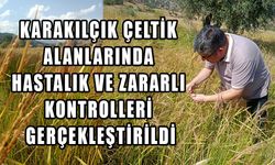 KARAKILÇIK ÇELTİK ALANLARINDA HASTALIK VE ZARARLI KONTROLLERİ GERÇEKLEŞTİRİLDİ