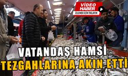 VATANDAŞ HAMSİ TEZGAHLARINA AKIN ETTİ