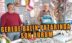 Gerede balık pazarında son durum