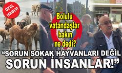 “Sorun sokak hayvanları değil, sorun insanlar!”