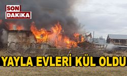 YAYLA EVLERİ KÜL OLDU