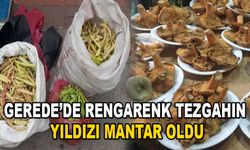 Gerede’de rengarenk tezgahın yıldızı mantar oldu