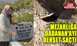 MEZARLIĞA DADANAN AYI DEHŞET SAÇTI