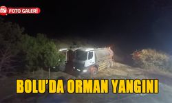 Bolu’da orman yangını