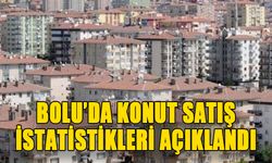 Bolu’da konut satış istatistikleri açıklandı