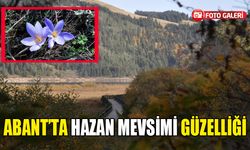 Abant'ta hazan mevsimi güzelliği