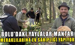 BOLU'DAKİ YAYLALAR MANTAR MERAKLILARINA EV SAHİPLİĞİ YAPIYOR