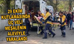 29 Ekim kutlamasında üç veli meşalenin aleviyle yaralandı