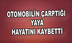 Otomobilin çarptığı yaya hayatını kaybetti