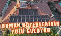 Orman köylülerinin yüzü gülüyor…  ​