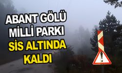 Abant Gölü Milli Parkı sis altında kaldı