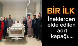 BİR İLK! İNEKLERDEN ELDE EDİLEN AORT KAPAĞI...