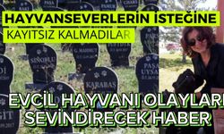 HAYVANSEVERLERİN İSTEĞİNE KAYITSIZ KALMADILAR