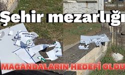 Şehir mezarlığı magandaların hedefi oldu