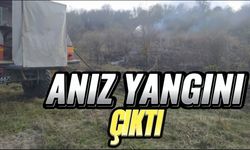 Anız yangını çıktı