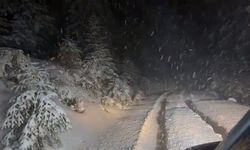 Karabük'ün yüksek kesimlerinde yeniden kar yağışı başladı