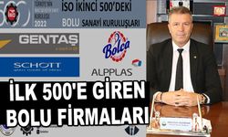 İLK 500'E GİREN BOLU FİRMALARI 