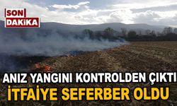 Bolu’da anız yangını kontrolden çıktı