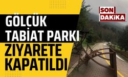 Gölcük Tabiat Parkı ziyarete kapatıldı