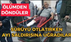 Sürüyü otlatırken ayı saldırısına uğradılar