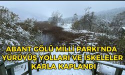 Abant Gölü Milli Parkı'nda yürüyüş yolları ve iskeleler karla kaplandı