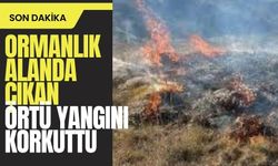 Bolu'da ormanlık alanda çıkan örtü yangını korkuttu