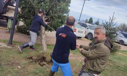 ZBEÜ’de Fırtınada Zarar Gören 68 Ağaca Destek Yapıldı
