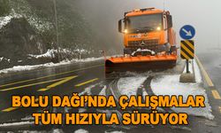 Bolu Dağı güzergahında küreme ve tuzlama çalışması yapılıyor