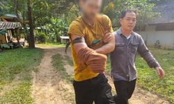 Tayland'da ayı saldırısından kurtulmak istedi: Kendi kolunu kesti