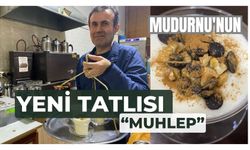 İbn-i Sina’nın önerdiği mucize baharat!