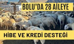 Bolu’da 28 aileye hibe ve kredi desteği  ​