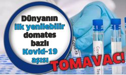Yenilebilir domates bazlı COVID-19 aşısı yapıldı