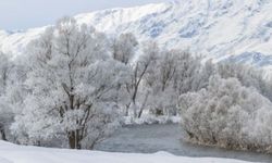 Tunceli'de ağaçlar buzdan heykellere dönüştü